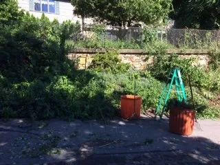 Trusted yard maintenance in Brockton, MA - Jackson Maintenance and Landscape Design