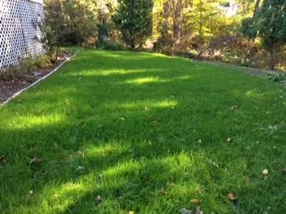 Professional garden landscaping in Brockton, MA - Jackson Maintenance and Landscape Design