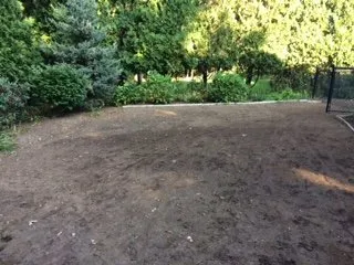 Reliable yard maintenance for outdoor upgrades across Brockton, MA - Jackson Maintenance and Landscape Design