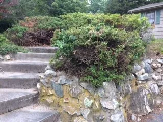 Local landscaping services in Brockton, MA by Jackson Maintenance and Landscape Design