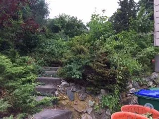 Professional yard cleanup service for residential properties in Brockton, MA by Jackson Maintenance and Landscape Design