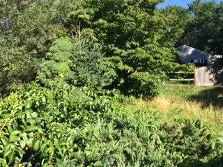 Custom landscape installation in Brockton, MA - Jackson Maintenance and Landscape Design