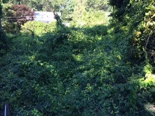 Reliable lawn care service for year-round maintenance in Brockton, MA by Jackson Maintenance and Landscape Design