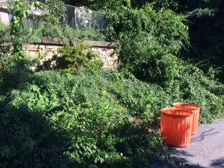 Reliable landscape installation for residential properties across Brockton, MA - Jackson Maintenance and Landscape Design