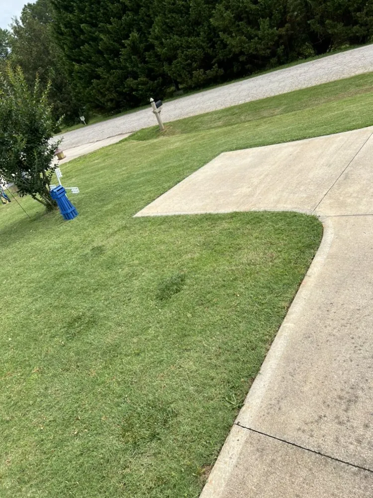 Affordable landscape design in Jonesville, SC by Jackson Maintenance