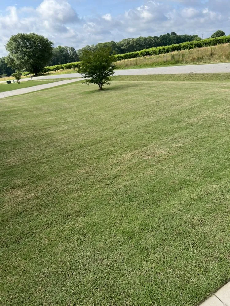 Custom residential landscaping in Jonesville, SC - Jackson Maintenance