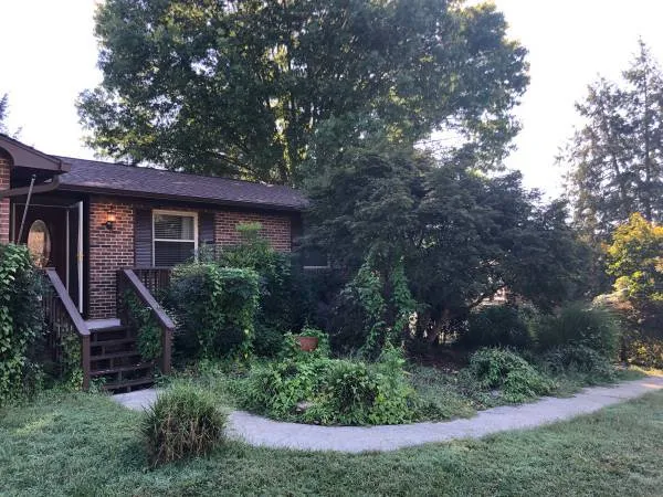 Local landscaping services in Jonesville, SC by Jackson Maintenance