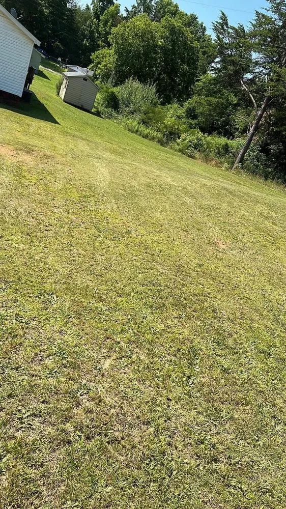 Professional lawn mowing service for outdoor upgrades in Jonesville, SC by Jackson Maintenance