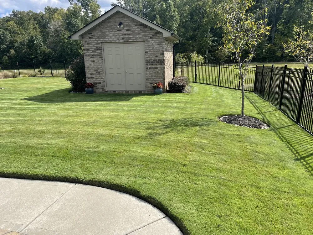 Trusted yard cleanup service in Indian Trail, NC - Jackson Mowing Service