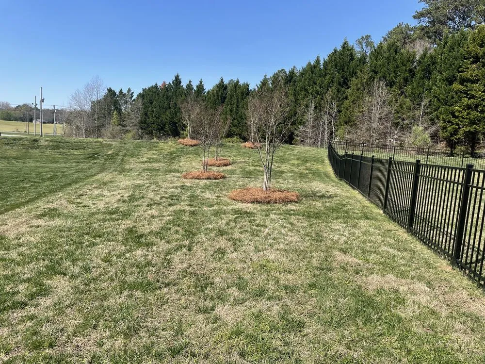 Affordable outdoor landscaping in Indian Trail, NC by Jackson Mowing Service