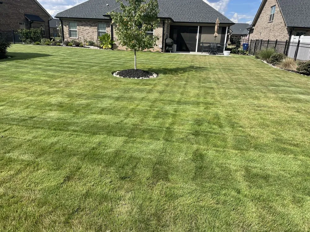 Local landscape installation for beautiful yards in Indian Trail, NC by Jackson Mowing Service