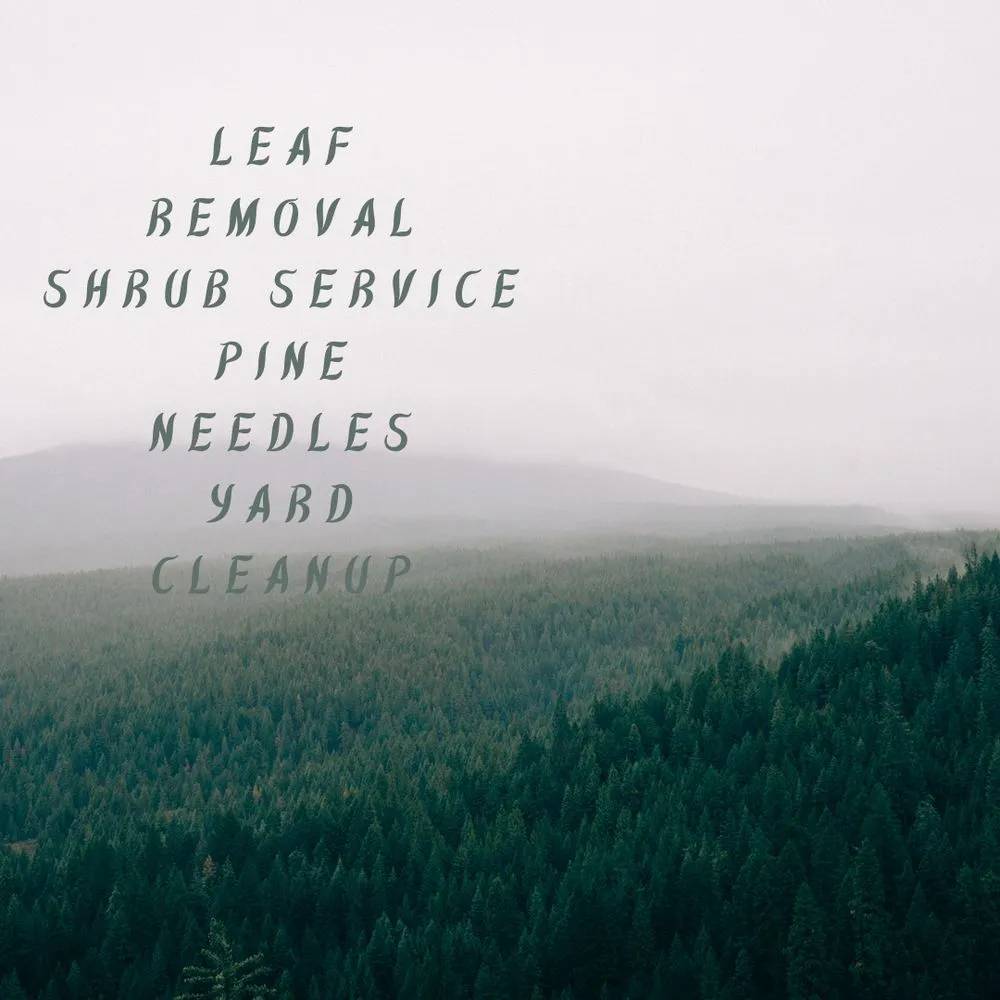 Trusted landscape installation for outdoor upgrades across Indian Trail, NC - Jackson Mowing Service