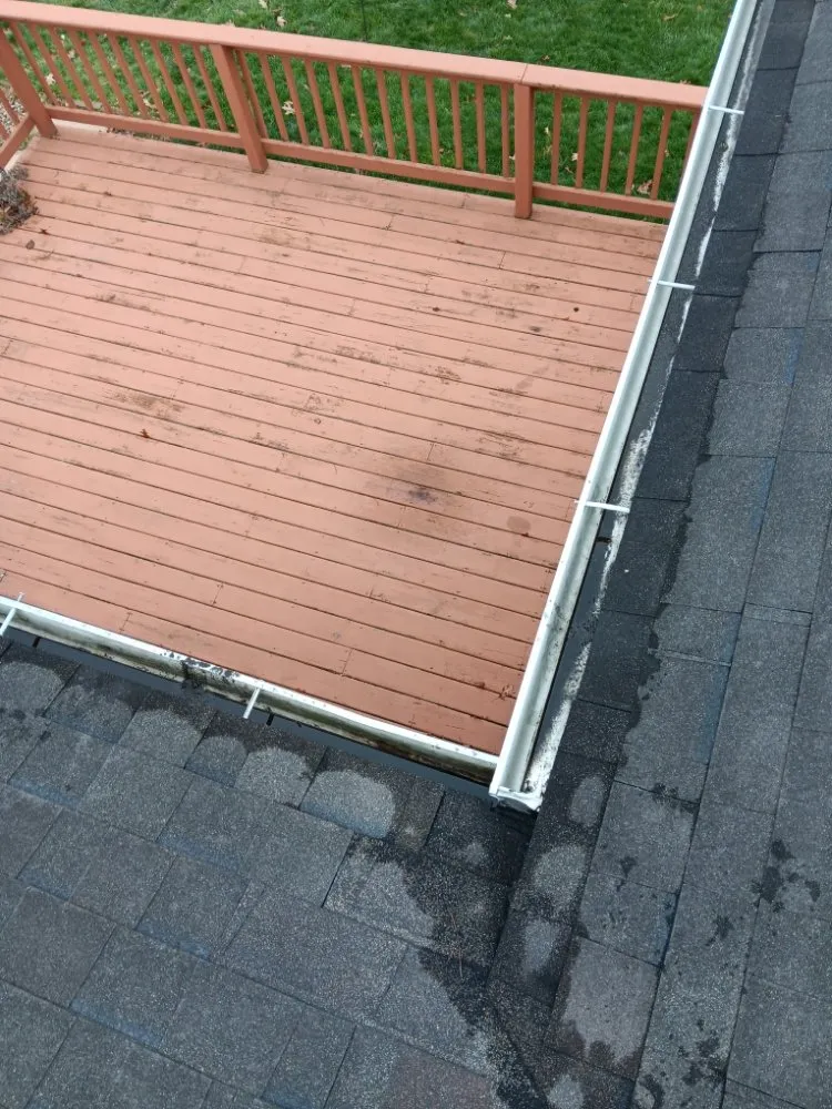 Local yard cleanup service in Jackson, MI by Jackson Repta Lawn Care and More