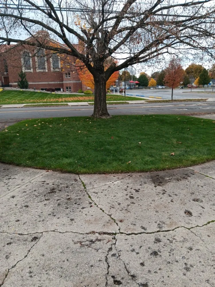 Local landscape design in Jackson, MI - Jackson Repta Lawn Care and More