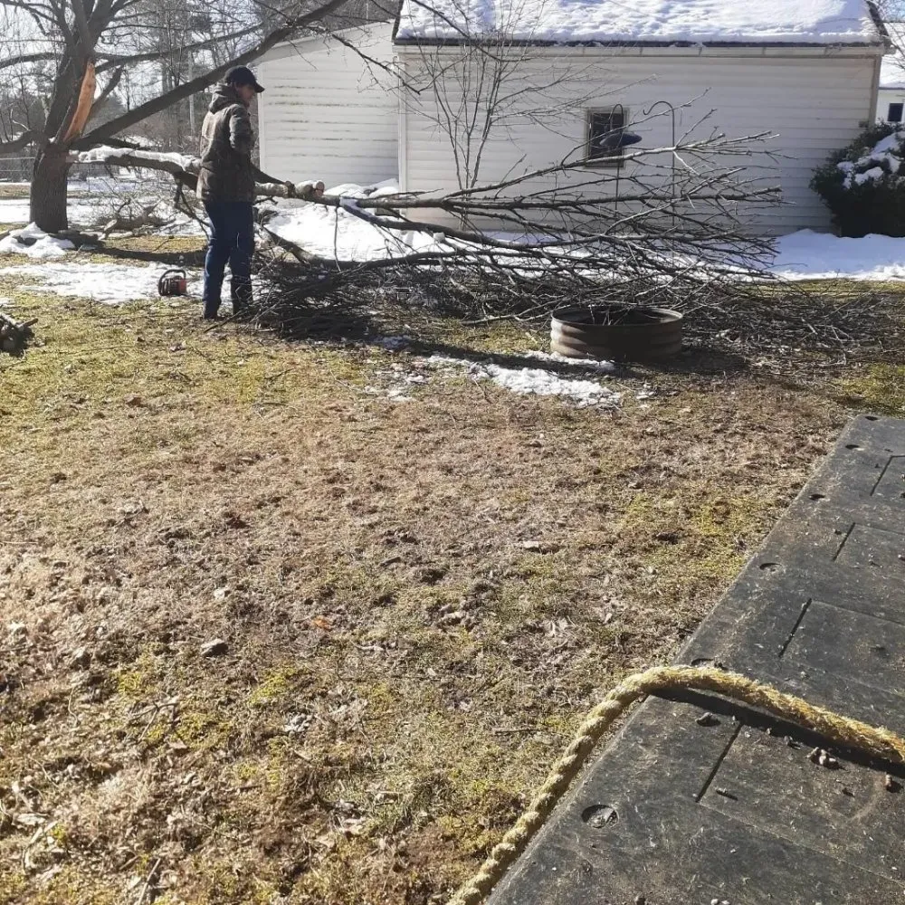 Trusted lawn care service in Jackson, MI - Jackson Repta Lawn Care and More