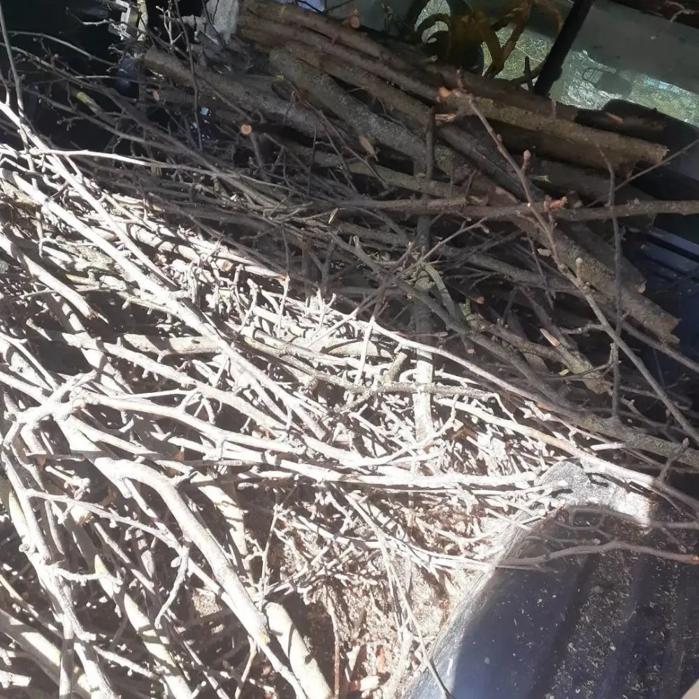 Professional lawn mowing service for homes in Jackson, MI by Jackson Repta Lawn Care and More