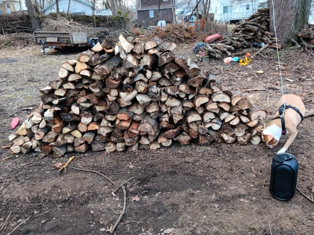 Reliable yard cleanup service with custom design across Jackson, MI - Jackson Repta Lawn Care and More