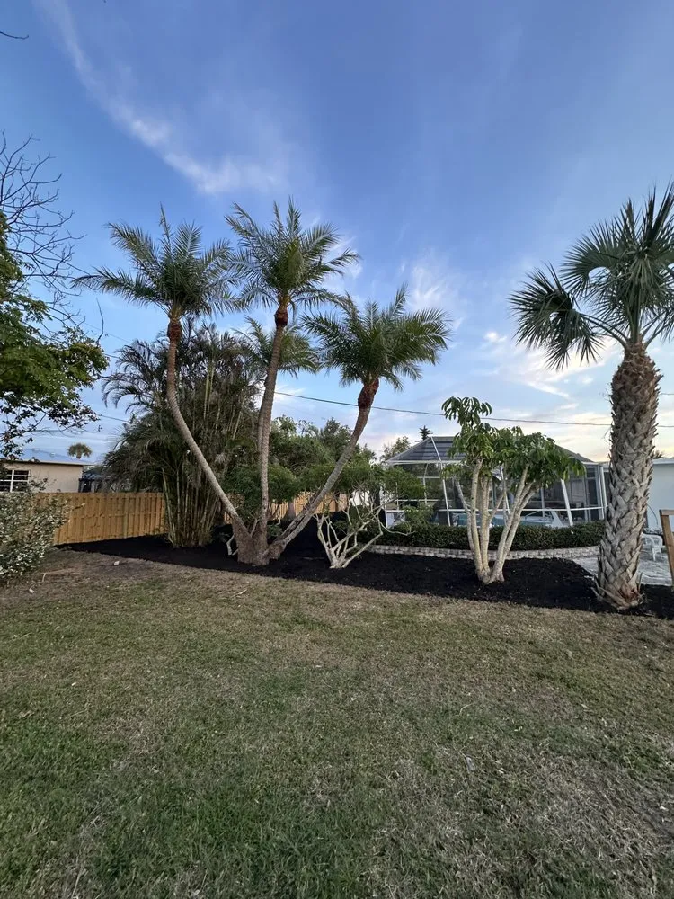 Expert outdoor landscaping experts serving Nokomis, FL - Jackson Summers
