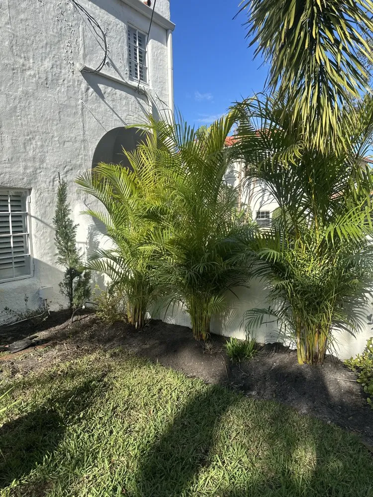 Trusted landscape design in Nokomis, FL - Jackson Summers