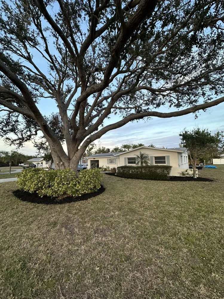 Professional landscape design in Nokomis, FL - Jackson Summers