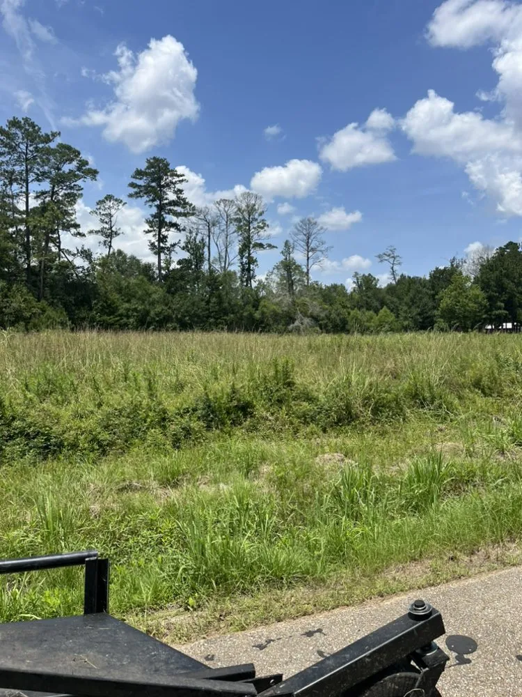 Professional outdoor landscaping in Baton Rouge, LA - Jackson’s Bush hogging and Tractor services