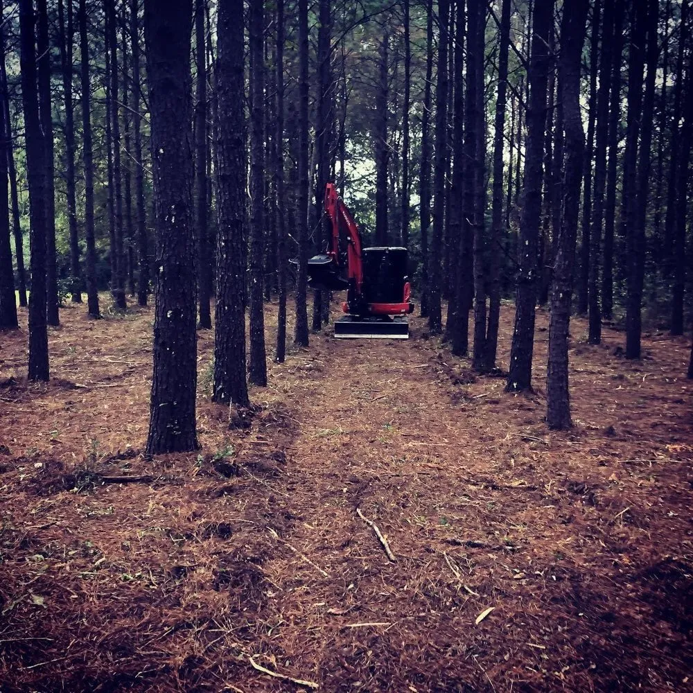 Trusted landscape design for residential properties across Charlotte, NC - Jacksons Land Solutions