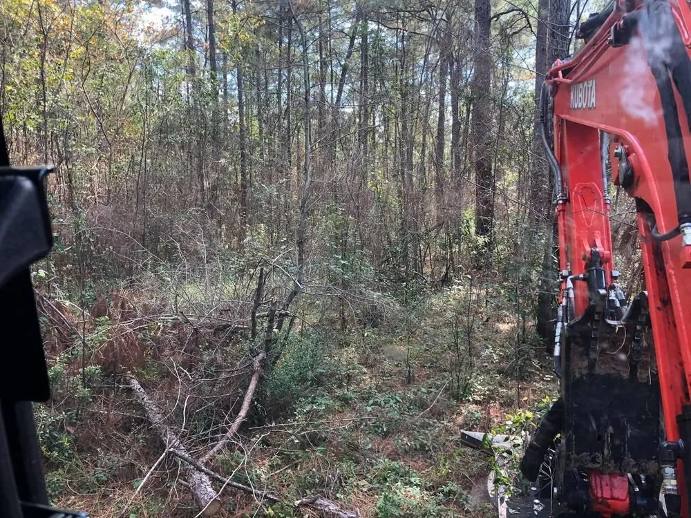 Custom garden landscaping in Charlotte, NC by Jacksons Land Solutions