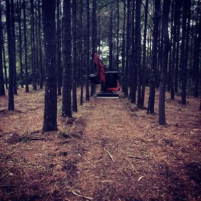 Jacksons Land Solutions Logo