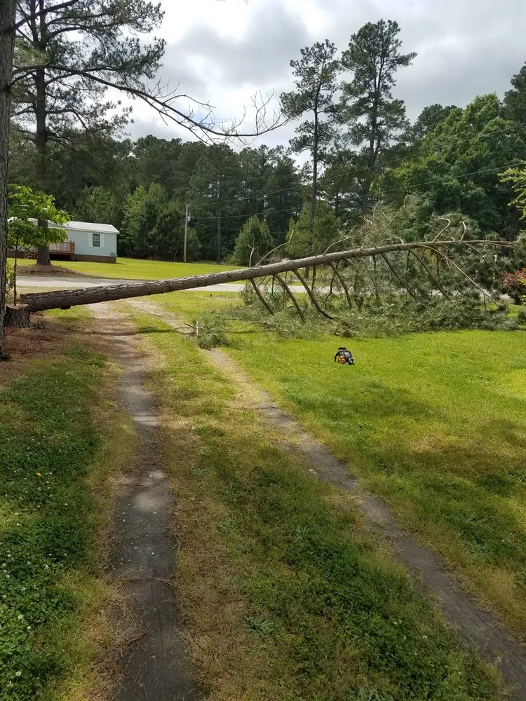 Top-rated yard cleanup service in Elm City, NC by Jackson's Lawn Care