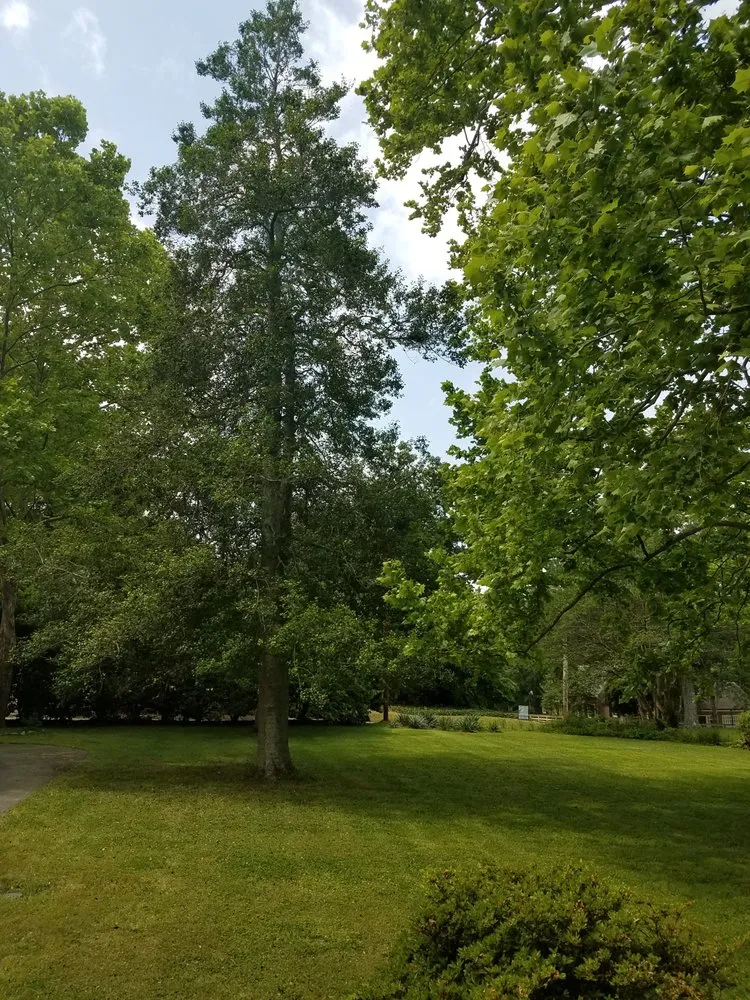 Affordable lawn mowing service with custom design across Elm City, NC - Jackson's Lawn Care