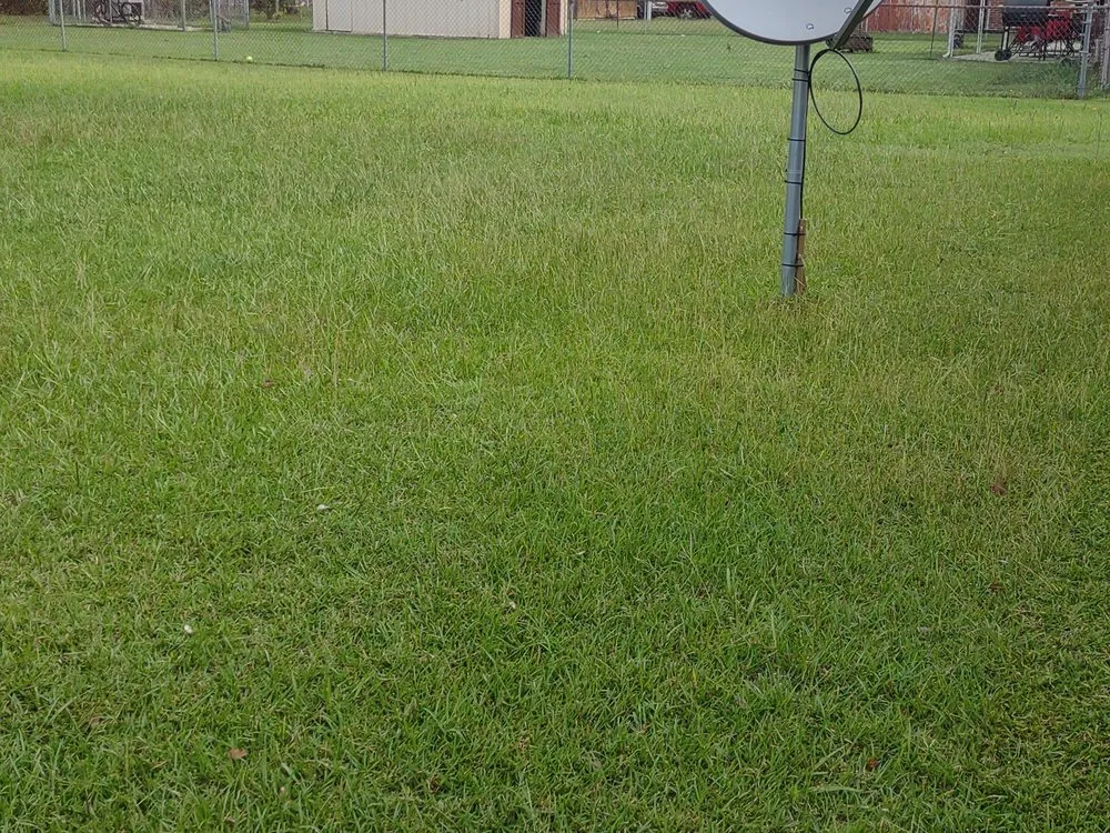 Top-rated landscape installation in Tarboro, NC by Jackson's Lawn Care