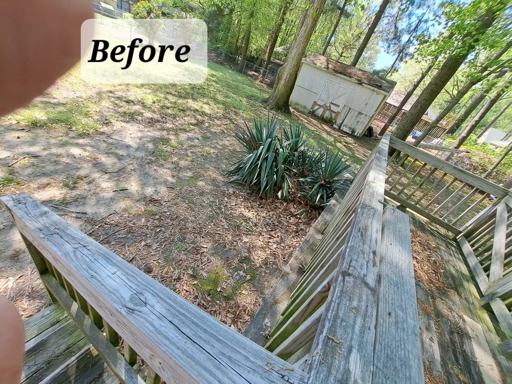Affordable yard maintenance for beautiful yards in Tarboro, NC by Jackson's Lawn Care