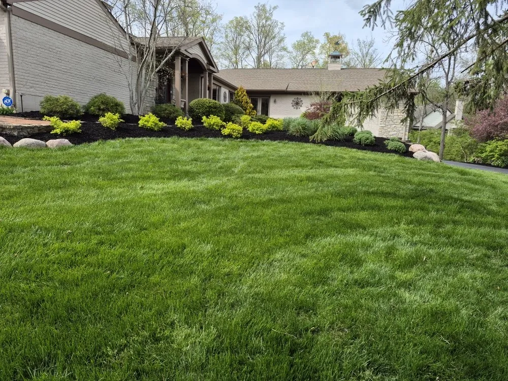Trusted yard cleanup service experts serving Amelia, OH - Jackson's Lawn Landscape and More