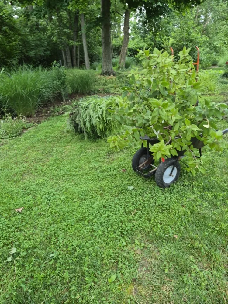 Affordable landscape installation for outdoor upgrades across Amelia, OH - Jackson's Lawn Landscape and More