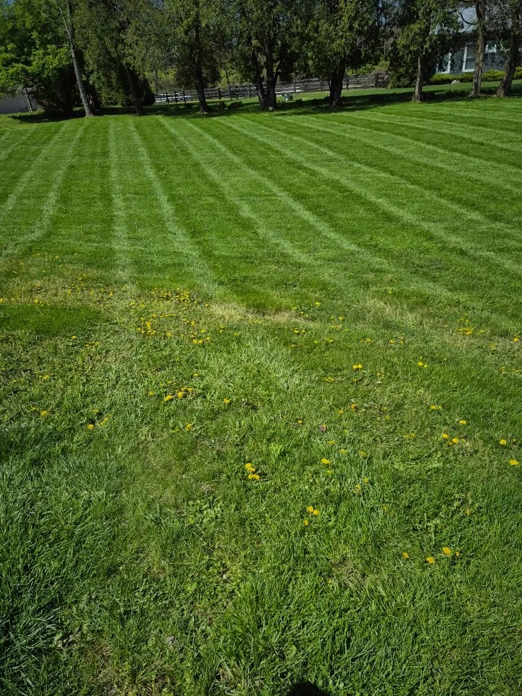Custom yard cleanup service in Amelia, OH - Jackson's Lawn Landscape and More