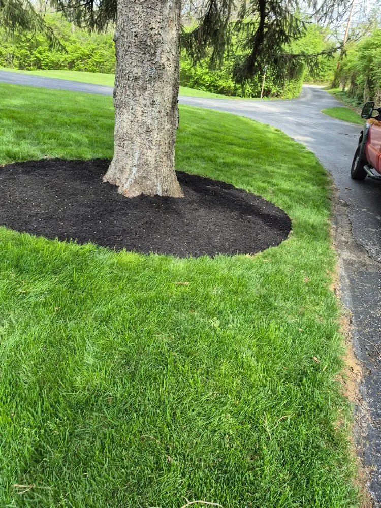 Custom landscaping services in Amelia, OH by Jackson's Lawn Landscape and More