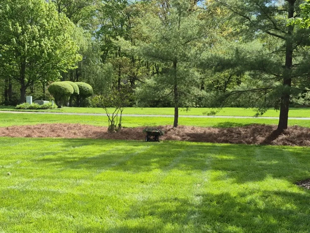 Top-rated lawn mowing service in Amelia, OH by Jackson's Lawn Landscape and More