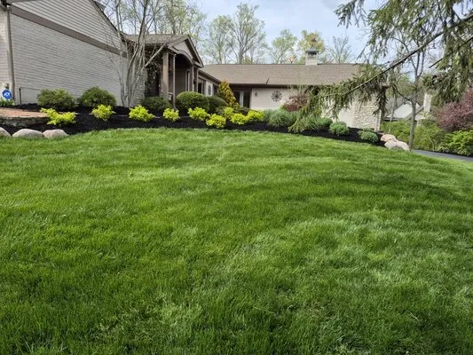 Jackson's Lawn Landscape and More Logo