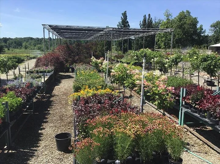 Reliable landscape design experts serving Greensburg, IN - Jackson's Nursery