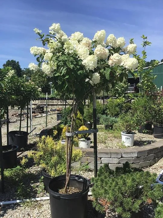 Top-rated garden landscaping in Greensburg, IN - Jackson's Nursery