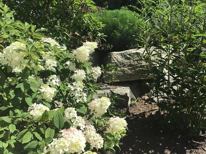 Affordable landscaping services in Greensburg, IN by Jackson's Nursery