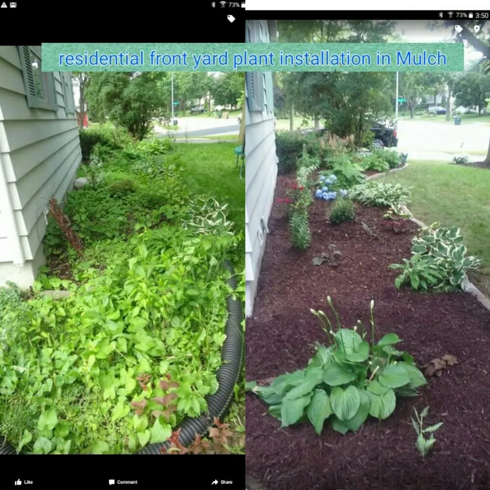 Affordable landscaping services in Sun Prairie, WI by Jacksons Yard Care