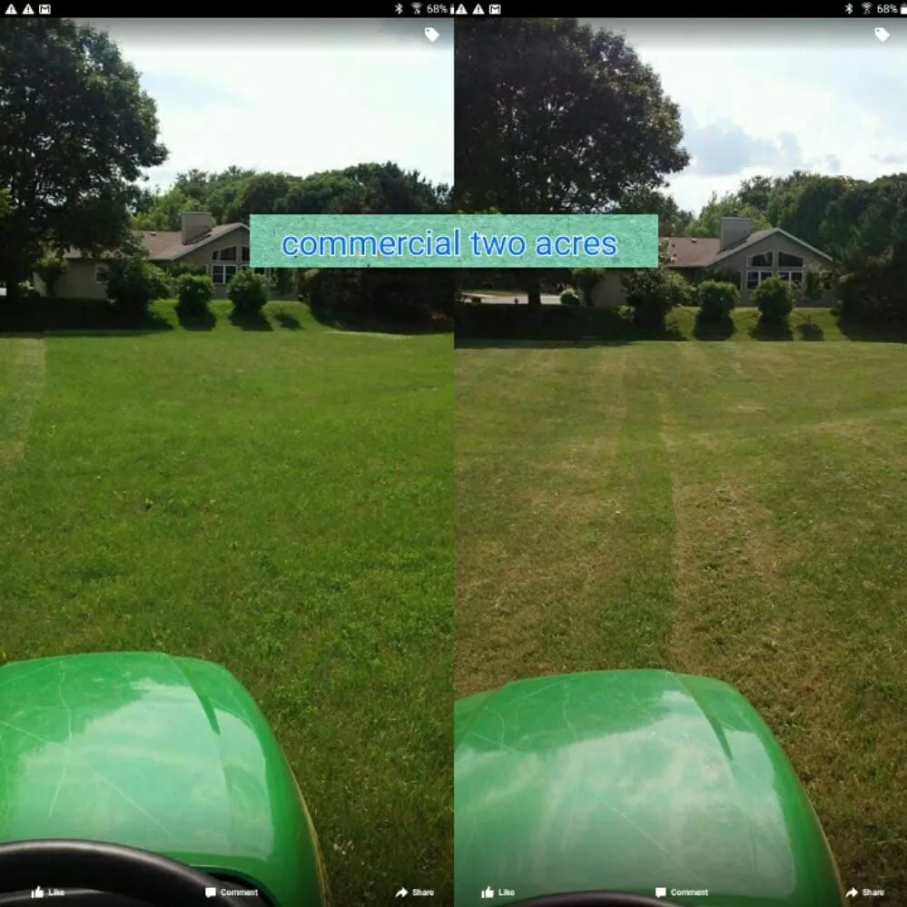 Top-rated yard cleanup service in Sun Prairie, WI by Jacksons Yard Care