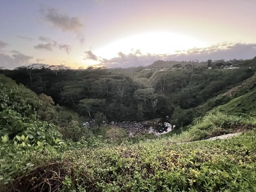 Affordable yard cleanup service with custom design in Kekaha, HI by Jackson’s Yard Landscape & Tree Services