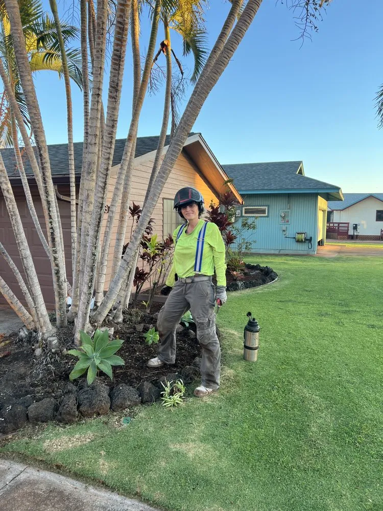 Expert landscape design in Kekaha, HI - Jackson’s Yard Landscape & Tree Services