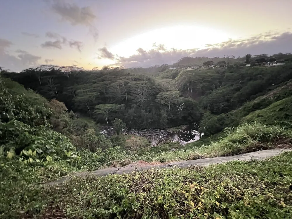 Expert landscaping services for beautiful yards in Kekaha, HI by Jackson’s Yard Landscape & Tree Services