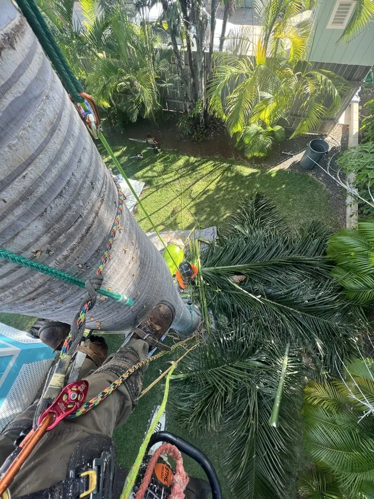 Professional landscape design in Kekaha, HI by Jackson’s Yard Landscape & Tree Services