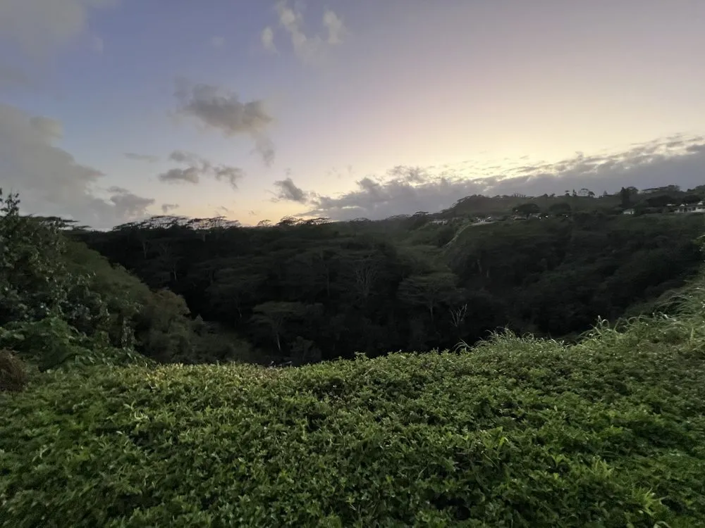 Local landscaping services in Kekaha, HI - Jackson’s Yard Landscape & Tree Services