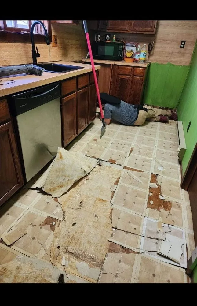 Professional landscape installation in Bushkill, PA - Jackxn of All Trades