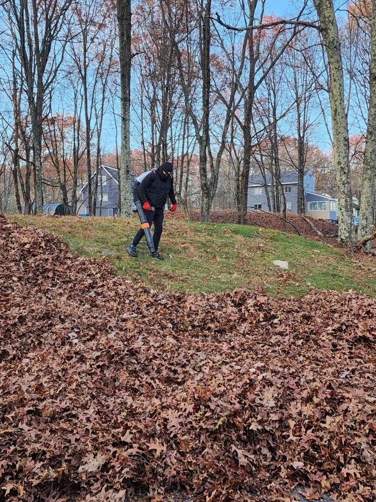 Professional yard maintenance experts serving Bushkill, PA - Jackxn of All Trades